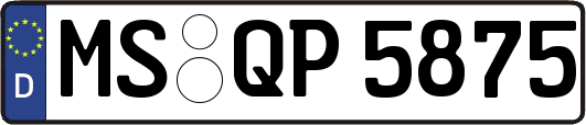 MS-QP5875