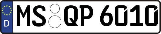 MS-QP6010