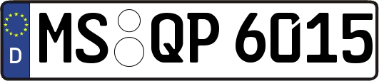 MS-QP6015