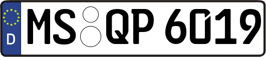 MS-QP6019