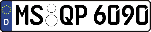 MS-QP6090