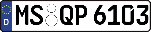 MS-QP6103