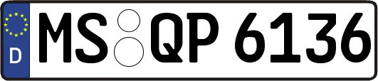 MS-QP6136