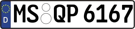 MS-QP6167
