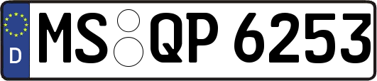 MS-QP6253
