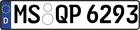 MS-QP6293