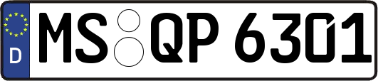 MS-QP6301