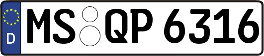 MS-QP6316