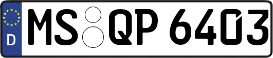 MS-QP6403
