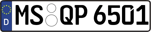 MS-QP6501