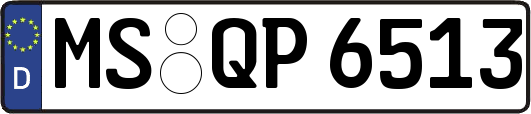 MS-QP6513