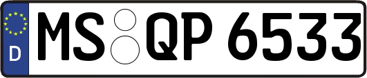 MS-QP6533