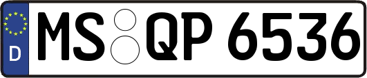 MS-QP6536