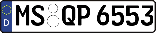 MS-QP6553