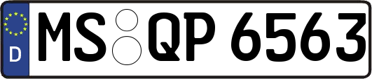 MS-QP6563