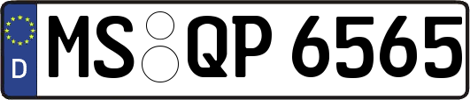 MS-QP6565