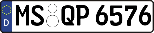 MS-QP6576