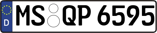 MS-QP6595