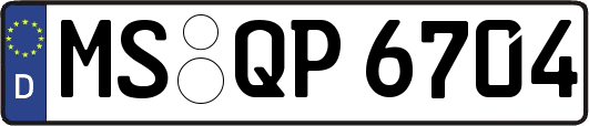MS-QP6704