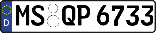 MS-QP6733