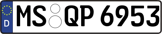 MS-QP6953