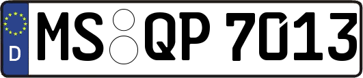 MS-QP7013