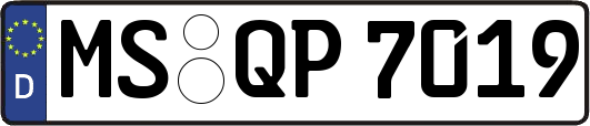 MS-QP7019