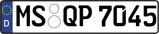 MS-QP7045
