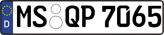 MS-QP7065