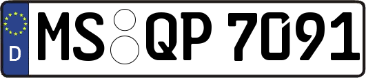 MS-QP7091