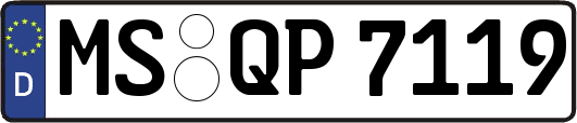 MS-QP7119