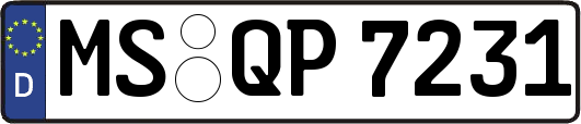 MS-QP7231