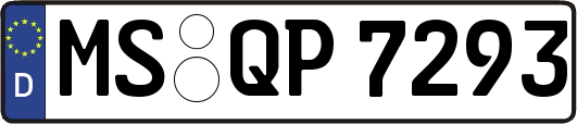 MS-QP7293