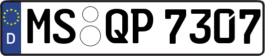 MS-QP7307