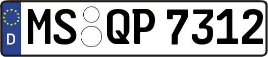 MS-QP7312