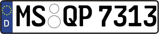 MS-QP7313
