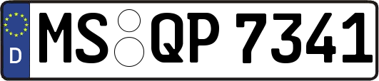 MS-QP7341