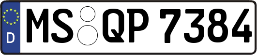 MS-QP7384