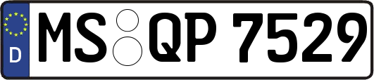MS-QP7529
