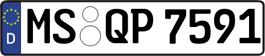 MS-QP7591