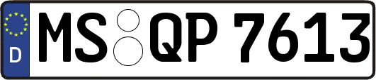 MS-QP7613