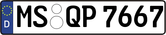 MS-QP7667
