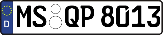 MS-QP8013