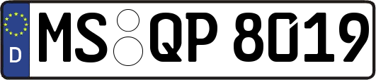 MS-QP8019