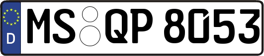 MS-QP8053