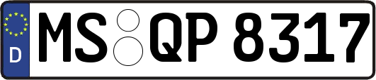 MS-QP8317
