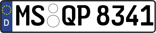 MS-QP8341