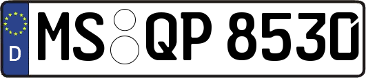 MS-QP8530