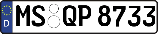 MS-QP8733