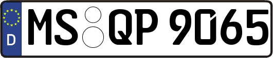 MS-QP9065